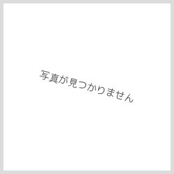 画像1: アサナン 明治製菓「ポケモンチョコスナック 第5弾」おまけカード2006年6月
