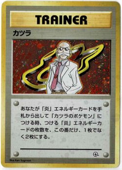 画像1: カツラ　状態EX