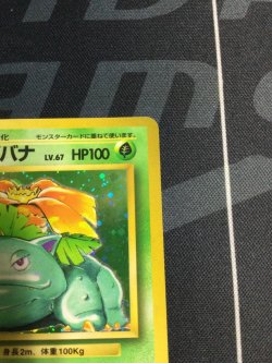 画像3: フシギバナ LV.67 初版　レアリティシンボルなし【実物写真】