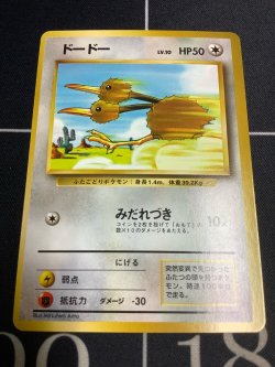 画像1: ドードー  初版　レアリティシンボルなし　第1弾 　旧裏 状態NM-