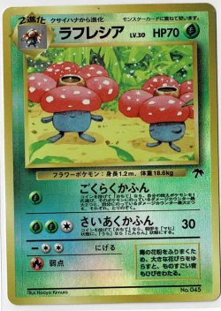 画像1: ラフレシア　サザンアイランド 状態poor