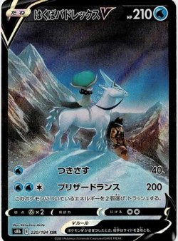 画像1: 【s8b】はくばバドレックスV【CSR】