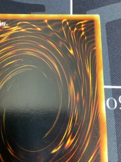 画像7: 《レッドアイズブラックメタルドラゴン》 Secret【実物写真】