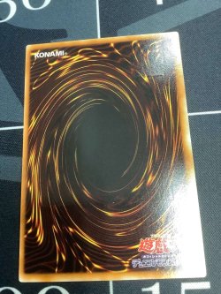 画像6: ブラックローズドラゴン レリーフ【実物写真】