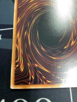 画像9: ブラックマジシャンガール【クォーターセンチュリーシークレット 】【実物写真】