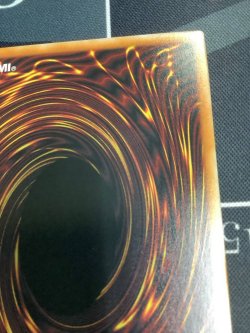 画像7: ブラックマジシャンガール【クォーターセンチュリーシークレット 】【実物写真】