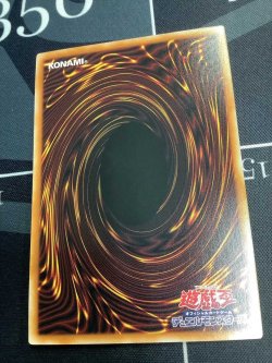 画像6: ブラックマジシャンガール【クォーターセンチュリーシークレット 】【実物写真】