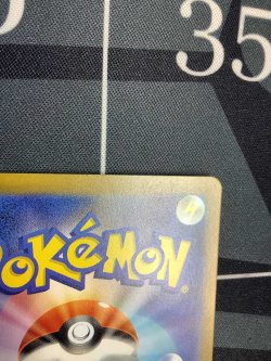 画像8: 【sv1V】ミモザ【SAR】【実物写真】