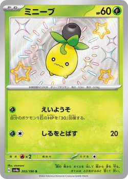 画像1: 【sv4a】ミニーブ【S】