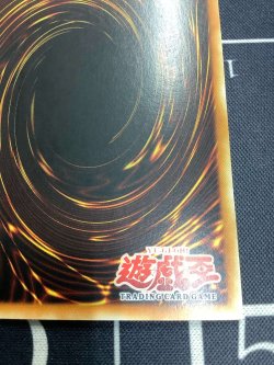 画像8: RED-EYES B. DRAGON(真紅眼の黒竜) アジア版 ウルトラレア 状態EX+【実物写真】