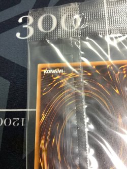 画像10: ユベル  レリーフ  未開封【実物写真】