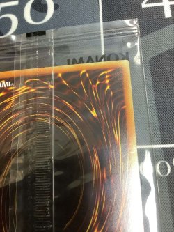 画像7: ブラックマジシャンガール  ホログラフィックレア  WCS2017 【実物写真】