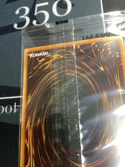 画像10: ブラックマジシャンガール  ホログラフィックレア  WCS2017 【実物写真】