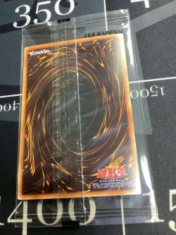 画像6: ブラックマジシャンガール  ホログラフィックレア  WCS2017 【実物写真】