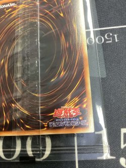 画像8: ブラックマジシャンガール  ホログラフィックレア  WCS2017 【実物写真】