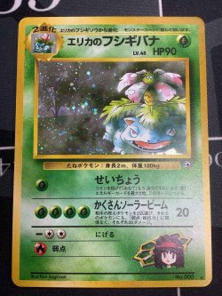 画像1: エリカのフシギバナ 状態poor