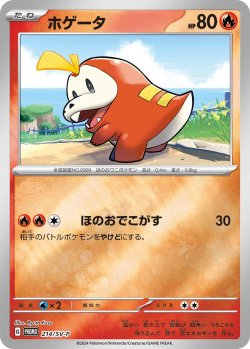 画像1: 【PROMO】ホゲータ【P】