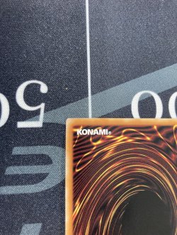 画像7: 真紅眼の黒竜【クォーターセンチュリーシークレット】【実物写真】