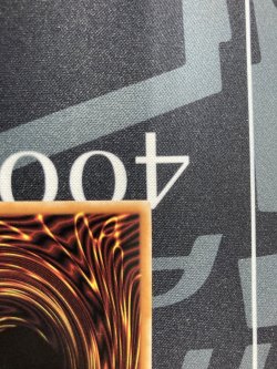 画像9: 真紅眼の黒竜【クォーターセンチュリーシークレット】【実物写真】