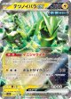 【sv8a】テツノイバラex【RR】
