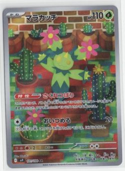 画像1: 【sv9】マラカッチ【AR】
