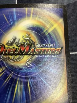 画像8: フェアリーライフ PR バトルアリーナ勝利者賞【実物写真】