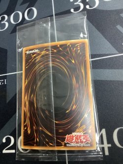 画像6: WCS-001 Kanan the Swordmistress/女剣士カナン スーパーレア  選考会プロモ 未開封　【実物写真】