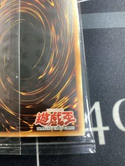 画像9: WCS-001 Kanan the Swordmistress/女剣士カナン スーパーレア  選考会プロモ 未開封　【実物写真】