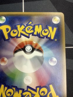 画像8: アセロラ SM2+ SR 【実物写真】