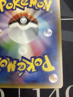 画像9: アセロラ SM2+ SR 【実物写真】