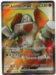 【sv10】レジロックex【SR】
