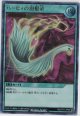 ハーピィの羽根帚【ウルトラレア】