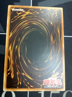 画像6: FEATHER OF THE PHOENIX(鳳凰神の羽根) 旧アジア 状態NM- レリーフ【実物写真】