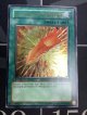 FEATHER OF THE PHOENIX(鳳凰神の羽根) 旧アジア 状態NM- レリーフ【実物写真】