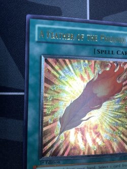 画像2: FEATHER OF THE PHOENIX(鳳凰神の羽根) 旧アジア 状態NM- レリーフ【実物写真】