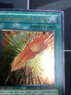 画像3: FEATHER OF THE PHOENIX(鳳凰神の羽根) 旧アジア 状態NM- レリーフ【実物写真】