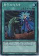 墓穴の指名者【スーパーレア】