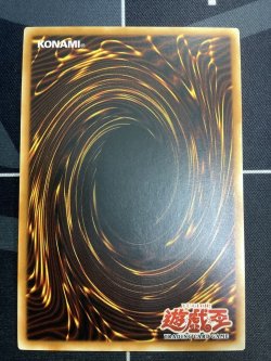 画像6: CYBER BARRIER DRAGON(サイバー バリア ドラゴン) 旧アジア レリーフ 状態NM- 【実物写真】