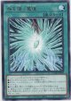 咎を擁く魔瞳【レア】