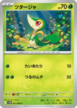 画像1: 【sv11B】ツタージャ【C】
