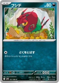 画像1: 【sv11B】フシデ【C】