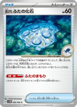 画像1: 【sv11B】古びたふたの化石【C】