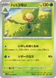 【sv11W】ハハコモリ【U】