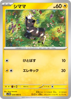 画像1: 【sv11W】シママ【C】