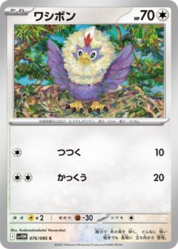 画像1: 【sv11W】ワシボン【C】