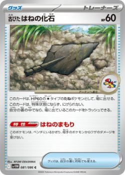 画像1: 【sv11W】古びたはねの化石【C】