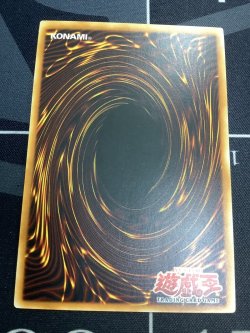 画像6: 幻魔の殉教者 レリーフ アジア版 1stED 状態NM- 【実物写真】