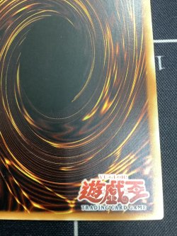 画像8: 幻魔の殉教者 レリーフ アジア版 1stED 状態NM- 【実物写真】