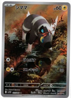 画像1: 【sv11W】シママ【AR】