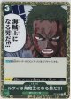 ルフィは海賊王になる男だ!!!【R】